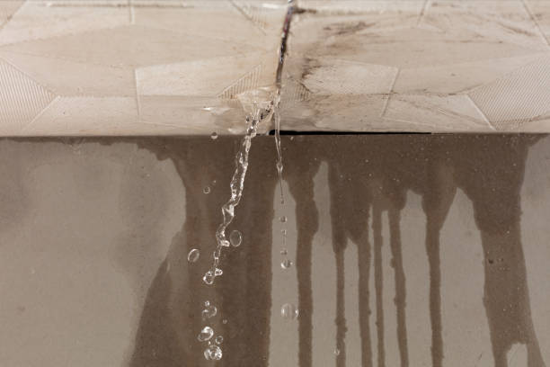 Professional Structural Drying technician working in Eveleth, MN